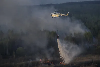 Масштабный пожар возле Чернобыля: фото и видео с места событий
