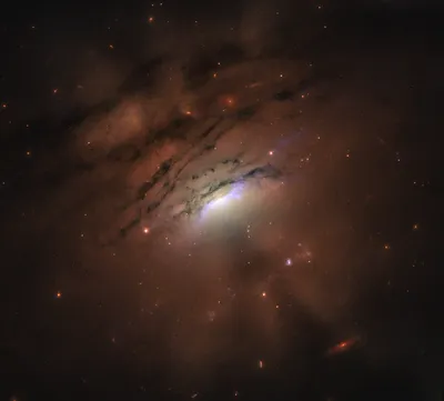 Фото дня: огромная тень от сверхмассивной чёрной дыры
