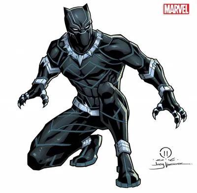 Марвел Мстители Черная пантера Marvel Legends Series 6\" Black Panther  Figure (ID#1098661514), цена: 590 ₴, купить на Prom.ua