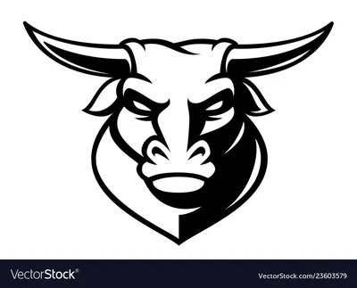 Head Of Big Black Bull Stock Photo, Picture and Royalty Free Image. Image  122513685.