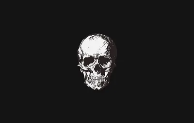 Обои simple, череп, минимализм, skull, черный фон, minimalism, Black  background картинки на рабочий стол, раздел минимализм - скачать