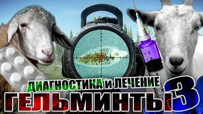 План гельминтизации коз | https://agro-sales.ru | Дзен