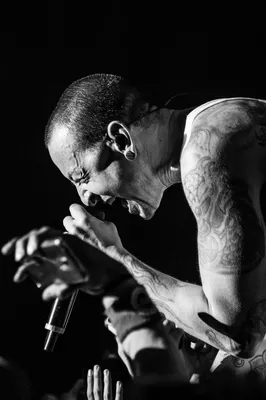 Честер Беннингтон | Linkin Park Честер, Обои Linkin Park, Честер Беннингтон