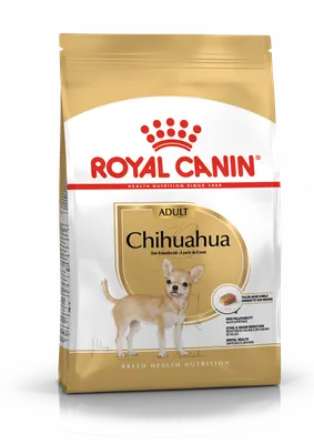 Корм для взрослых собак породы чихуахуа, Royal Canin Chihuahua Adult купить  с доставкой в интернет-магазине зоогастроном.ру
