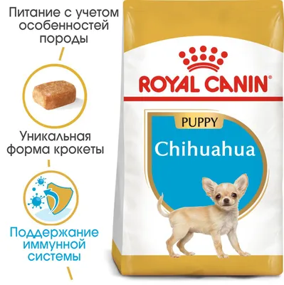 Royal Canin Chihuahua Puppy 0,5кг- корм для щенков породы чихуахуа: купить  по лучшей цене в Украине. корма и лакомства для домашних животных и птиц от  \