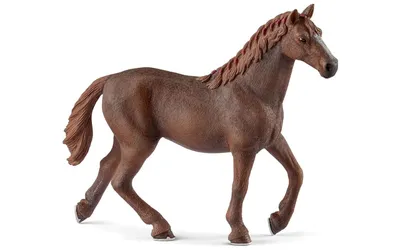 Купить фреску Животные «Чистокровные лошади» | PINEGIN