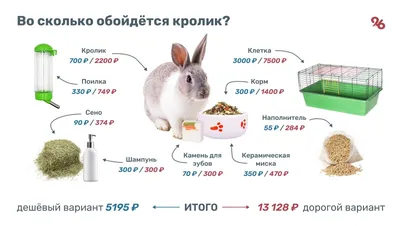 Что едят кролики фото фотографии