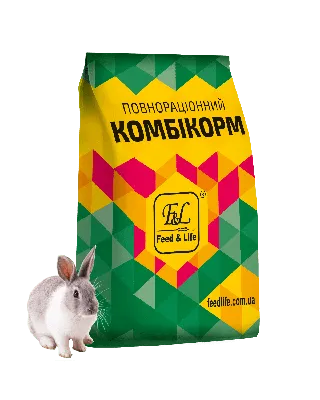 ЧЕМ ПИТАЮТСЯ КРОЛИКИ ЛЕТОМ? - LOVE FERPLAST