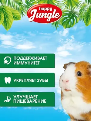 Корм для морских свинок HappyJungle 400г купить по цене 158 ₽ с доставкой в  Москве и России, отзывы, фото