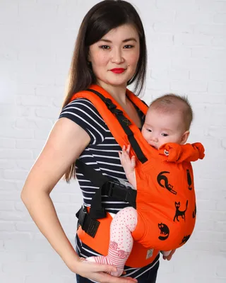 Эрго-рюкзак Ergo Baby Carrier Four Position 360, серый с капелькой