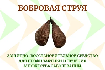 Струя бобра