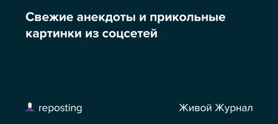 Свежие анекдоты и прикольные картинки из соцсетей