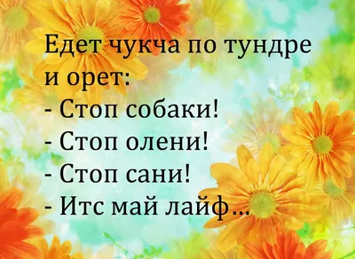 Нет ничего более несовместимого, чем труд и май. Немного юмора. И песен. |  Юморные просторы | Дзен