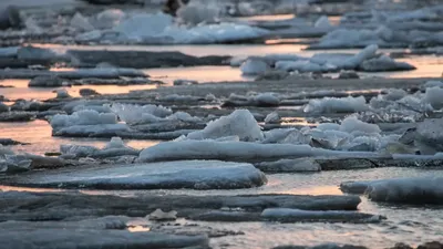Прогулка ночью по льду Волги унесла жизнь основателя группы Cream Soda  Дмитрия Свиргунова | Ямал-Медиа