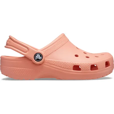 Limited Edition One Piece Crocs Shoes - CrocsBox