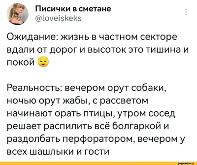 Писички в сметане Щ @1оуе1зкек5 Ожидание: жизнь в частном секторе вдали от  дорог и высоток это ти / twitter :: дача :: ожидание и реальность ::  интернет / смешные картинки и другие