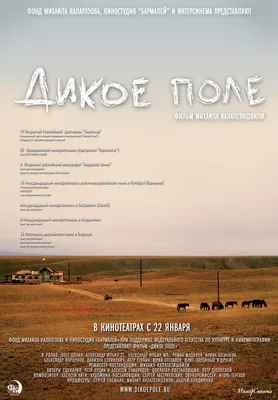 Дикое поле, 2008 — описание, интересные факты — Кинопоиск