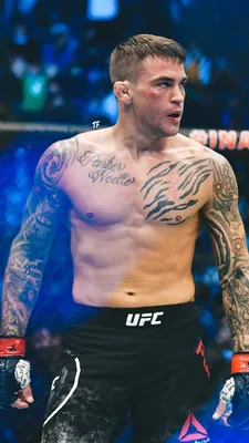 TF Sport Edit (de volta!) на X: «Дастин Пуарье | Обои #Poirier #poiriermcgregor #UFC https://t.co/GujgVSVPH3» / X