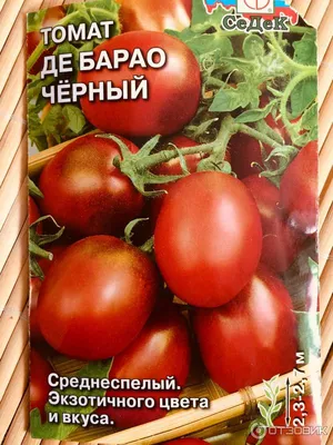 Семена Томат Plant Де барао черный 25 шт - купить в Москве, цены на  Мегамаркет