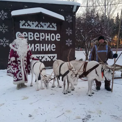 Силиконовый молд \"Дед Мороз на оленях\". Цена 110 грн. Новий Рік |  Интернет-магазин \"Кондитеру\".