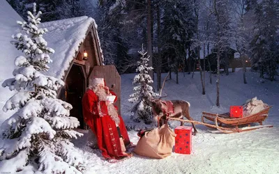 Сказочные помощники Деда Мороза - 44 фото