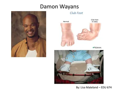 PPT - Презентация Дэймона Уайанса PowerPoint, скачать бесплатно - ID:1972863