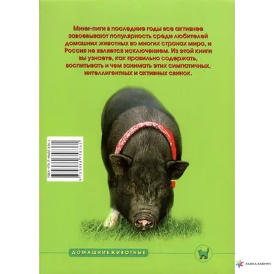 Фигура декоративная Pig, коллекция Свинья 55262 | KARE Tallinn