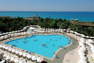 Delphin Deluxe Resort 5* - цены, отзывы 2024, номера, фото и видео отеля Дельфин  Делюкс Ресорт, Турция , Алания Окурджалар