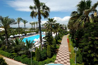 Delphin Diva | Top hotels and places to stay in Antalya | hutchgo.com