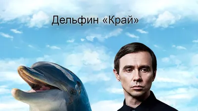 Сегодня свой день рождения отмечает Андрей Лысиков более известный под  псевдонимом Дельфин - Новости