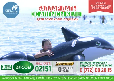 Дельфин Делюкс ☀️ Кыргызстан, Иссык-Куль ✈️ KOMPAS Touroperator