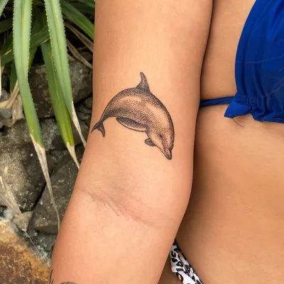 Simple Dolphin Tattoo Design | Inku Paw