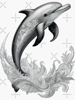 Stylized creative vector illustration of a dolphin tattoo in tribal style  on black and white background Stock Vector | Adobe Stock