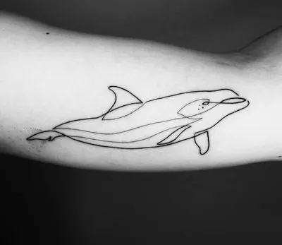 Dolphin tattoo thread? - Non-Moto - Motocross Forums / Message Boards -  Vital MX