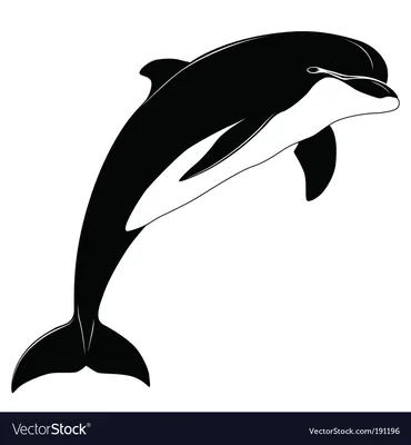 Dolphin, Tattoo Royalty Free SVG, Cliparts, Vectors, and Stock  Illustration. Image 6701481.