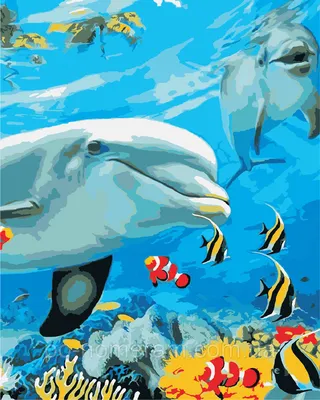 Картина по номерам ArtStory Улыбка дельфина (AS0868) 40 х 50 см купить Киев  на Po-Nomeram