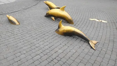 Со Старосенной площади пропала скульптура дельфина (фотофакт) - Одесса  Vgorode.ua