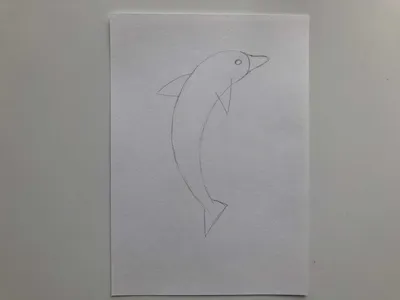 Как нарисовать дельфина карандашом поэтапно — 3 легких рисунка для  начинающих