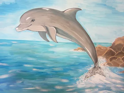 Фото дельфина для срисовки - 89 фото