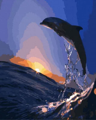 Закат дельфина - купить картину для рисования в Украине и Киеве почтой |  Florium.ua