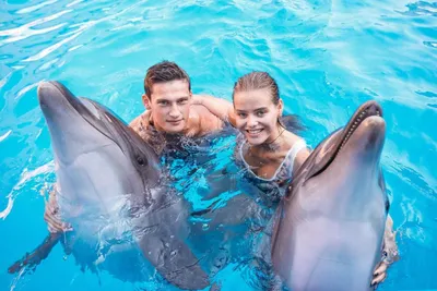 Центр плавания с дельфинами - 71 фото