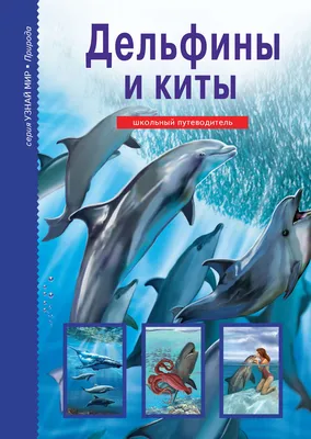 Дельфины и киты обязаны мозгом социальной среде - Наука - ТАСС