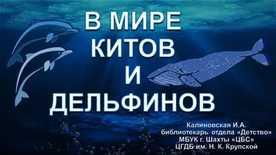 Вода России» поздравляет с Днем китов и дельфинов! - ВОДА РОССИИ