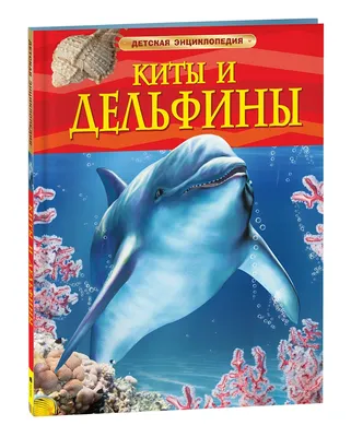 Вылов китов и дельфинов для шоу хотят сделать прозрачнее | Ветеринария и  жизнь