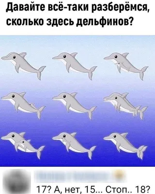 Сколько вы видите здесь дельфинов? | Дельфины, Мемы, Картинки