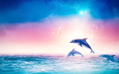 Скачать обои море, прыжок, блеск, дельфин, солнечный свет разрешение  1920x1080 #152556