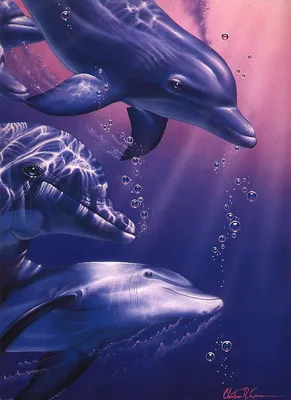 Дельфины. Dolphins (40 обоев) » Смотри Красивые Обои, Wallpapers, Красивые  обои на рабочий стол