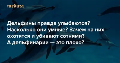 9gag (избранные картинки с 9gag.com) :: интернет :: дельфины / смешные  картинки и другие приколы: комиксы, гиф анимация, видео, лучший  интеллектуальный юмор.