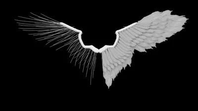 Крылья демона - 57 фото