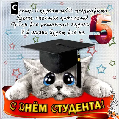 чех @сесб_кип Наставление от одного из риэлторов. Логично - я же снимаю  квартиру, чтобы в ней не / риэлтор :: скриншот / смешные картинки и другие  приколы: комиксы, гиф анимация, видео, лучший интеллектуальный юмор.